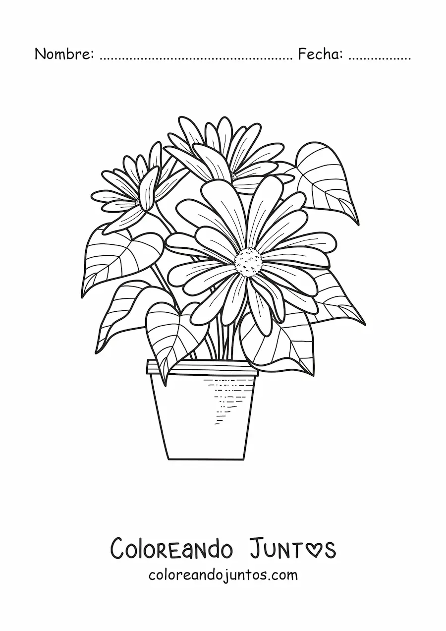 Imagen para colorear de una maceta con margaritas