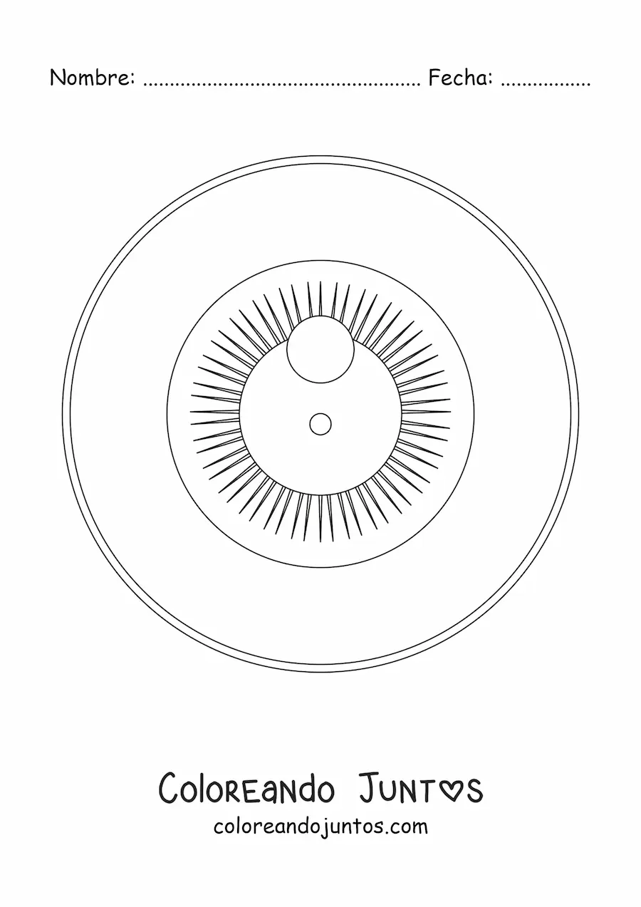 Imagen para colorear de un globo ocular visto de frente