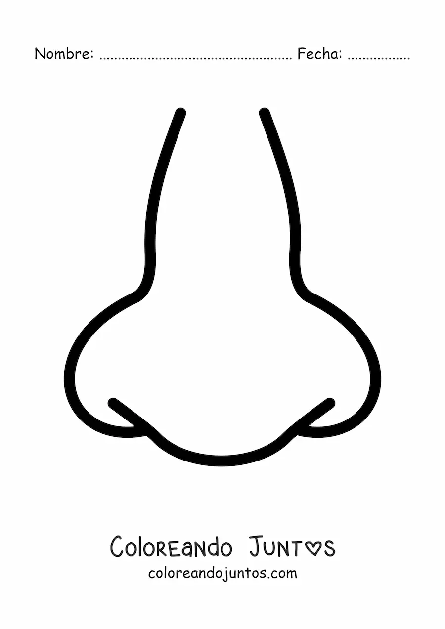 Imagen para colorear de una nariz de frente