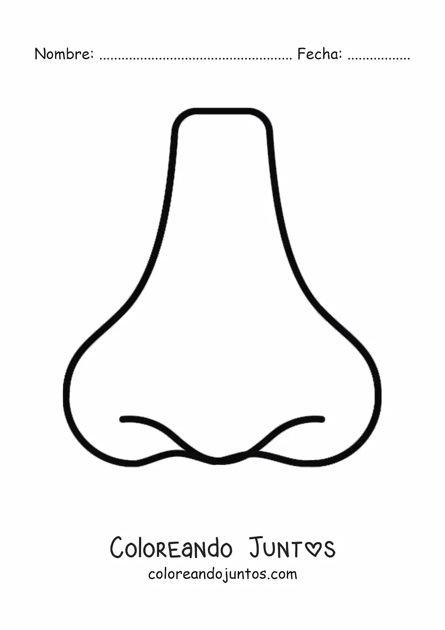 Imagen para colorear de una nariz sencilla
