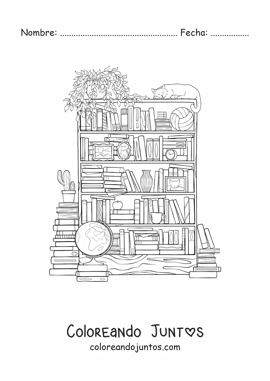 Imagen para colorear de varios libros acomodados en una biblioteca
