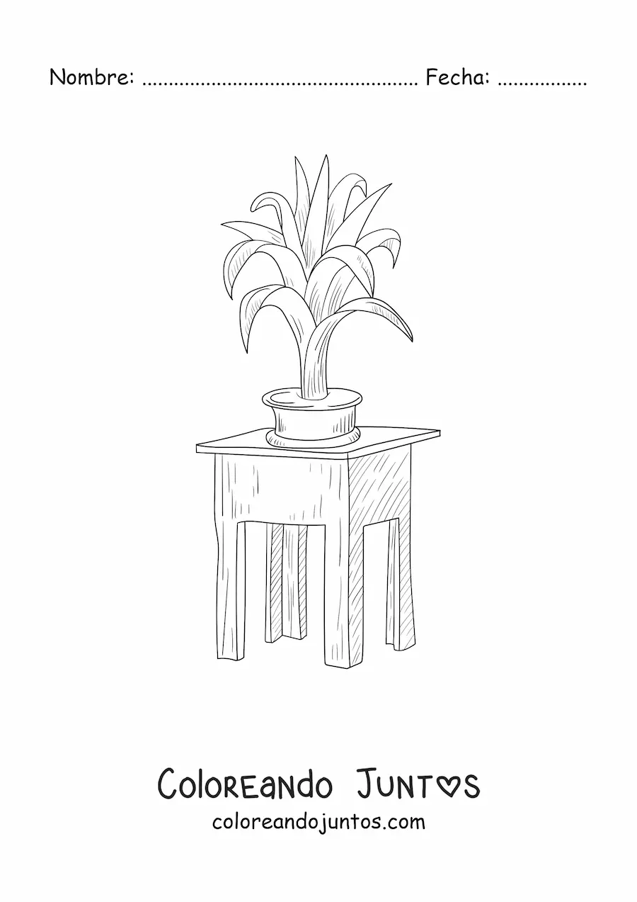 Imagen para colorear de una planta sobre una mesa cuadrada pequeña