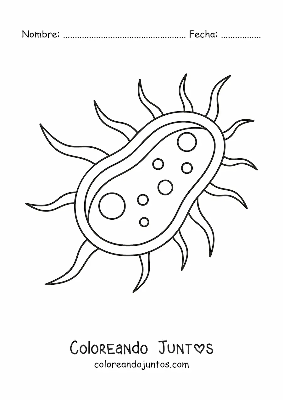 Imagen para colorear de una célula bacteriana