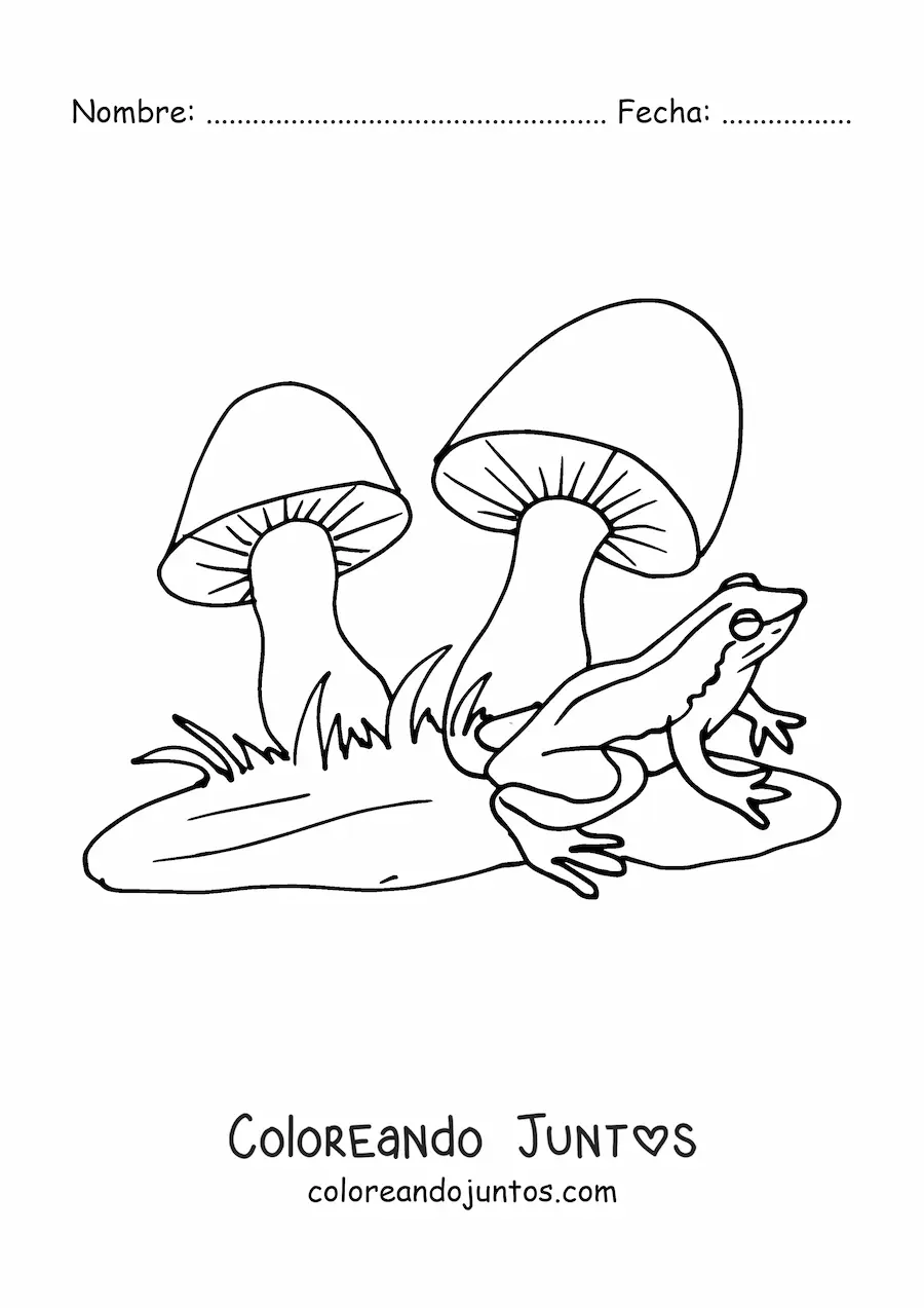 Imagen para colorear de una rana junto a dos hongos