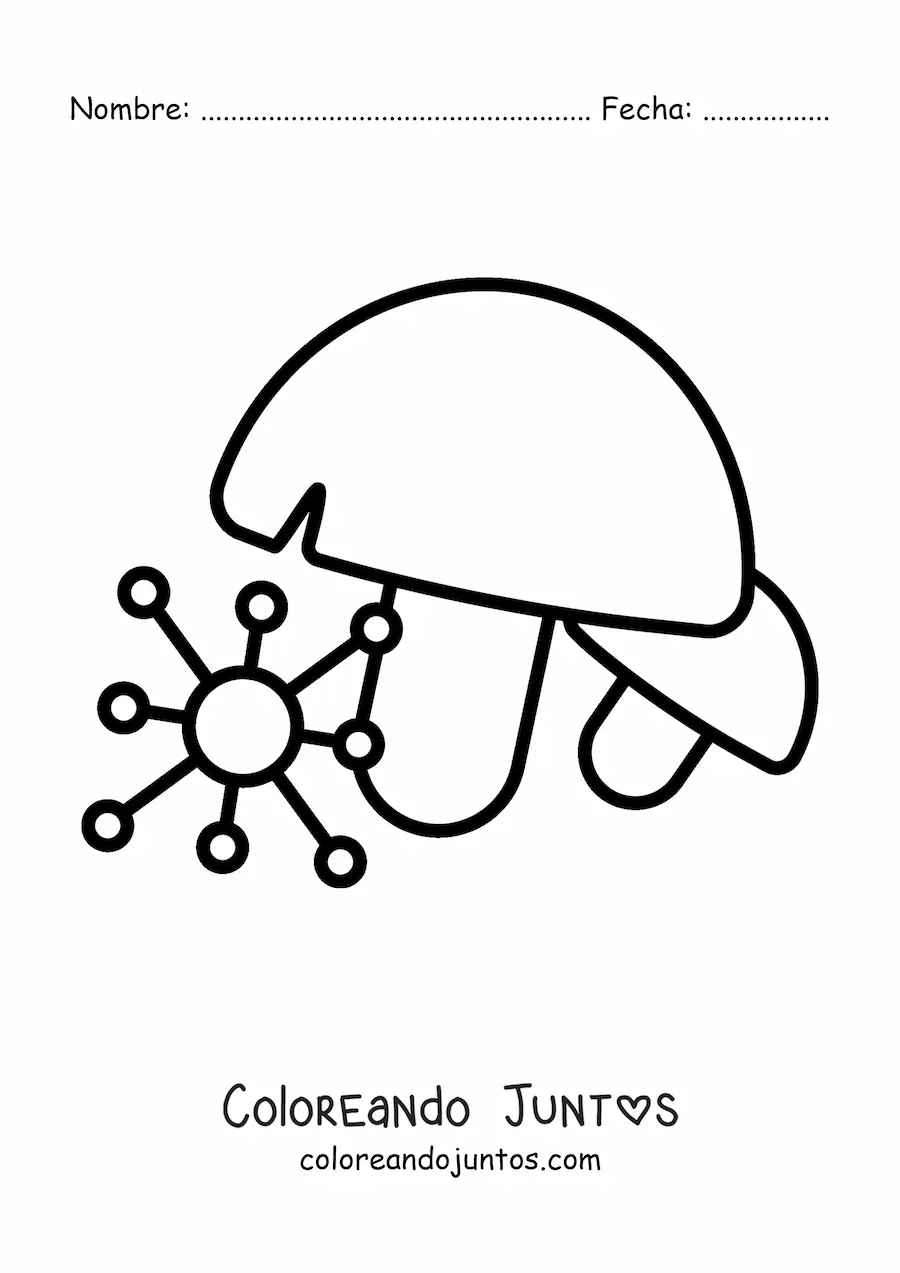 Imagen para colorear del reino fungi
