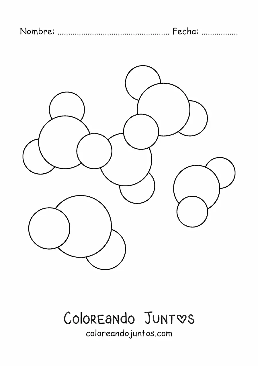 Imagen para colorear de las enzimas