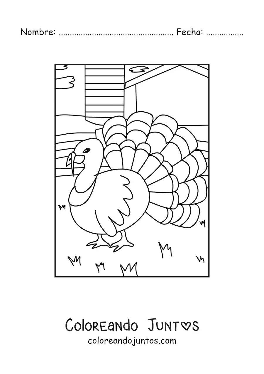 Imagen para colorear de un pavo real en la granja