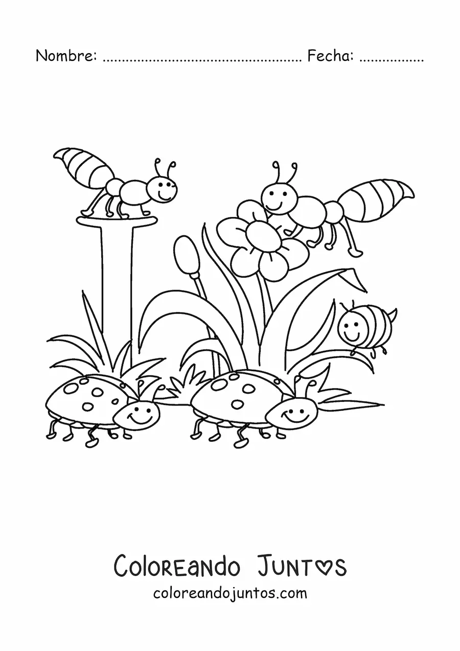 Imagen para colorear de varios insectos y flores de primavera