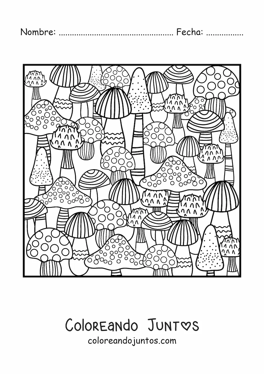 Imagen para colorear de varias setas de otoño