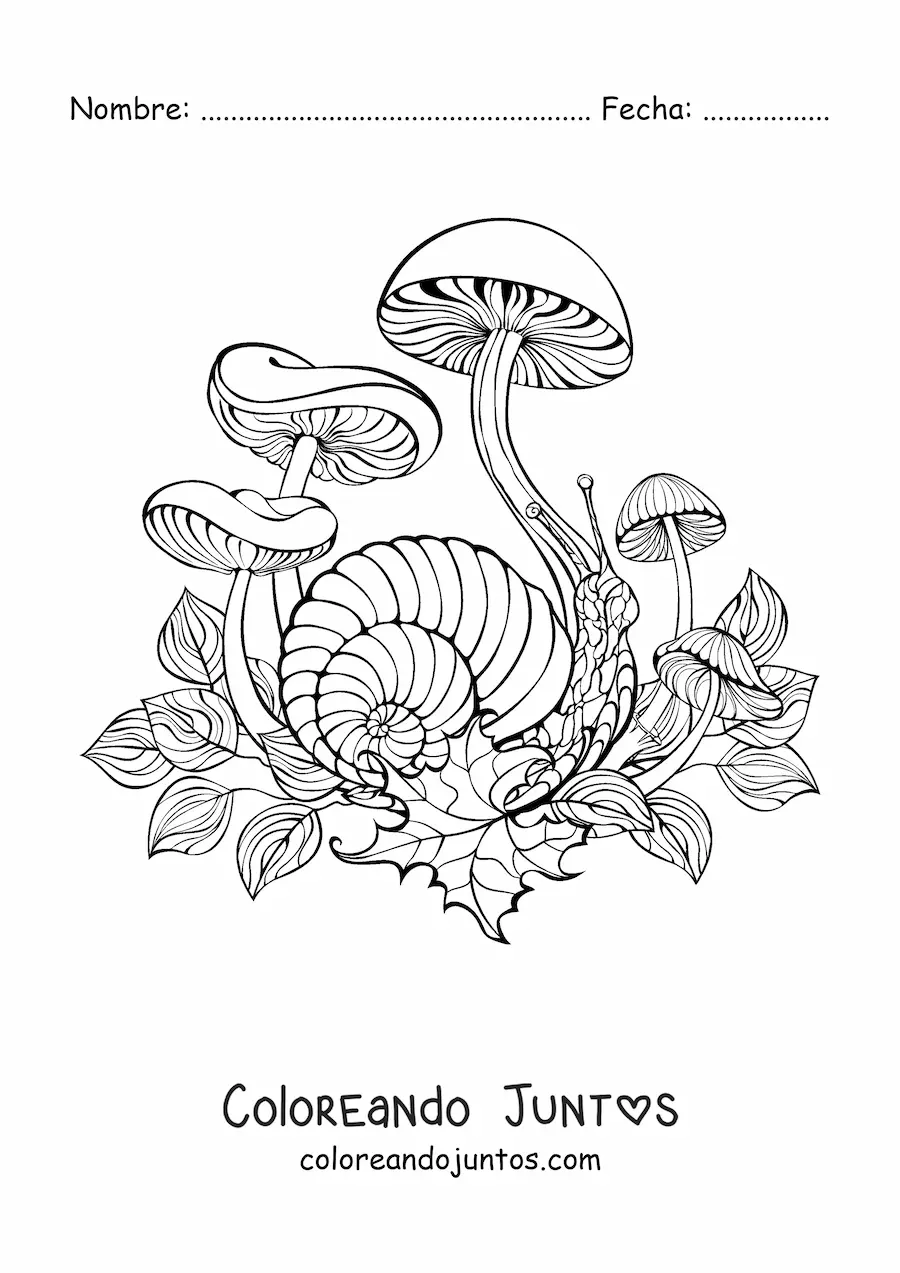 Imagen para colorear de varios hongos de otoño