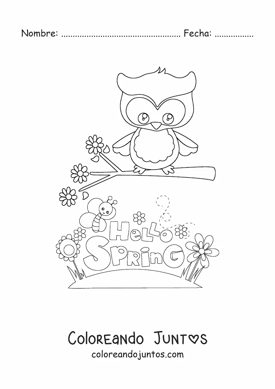 Imagen para colorear de un búho y una abeja junto a la palabra spring