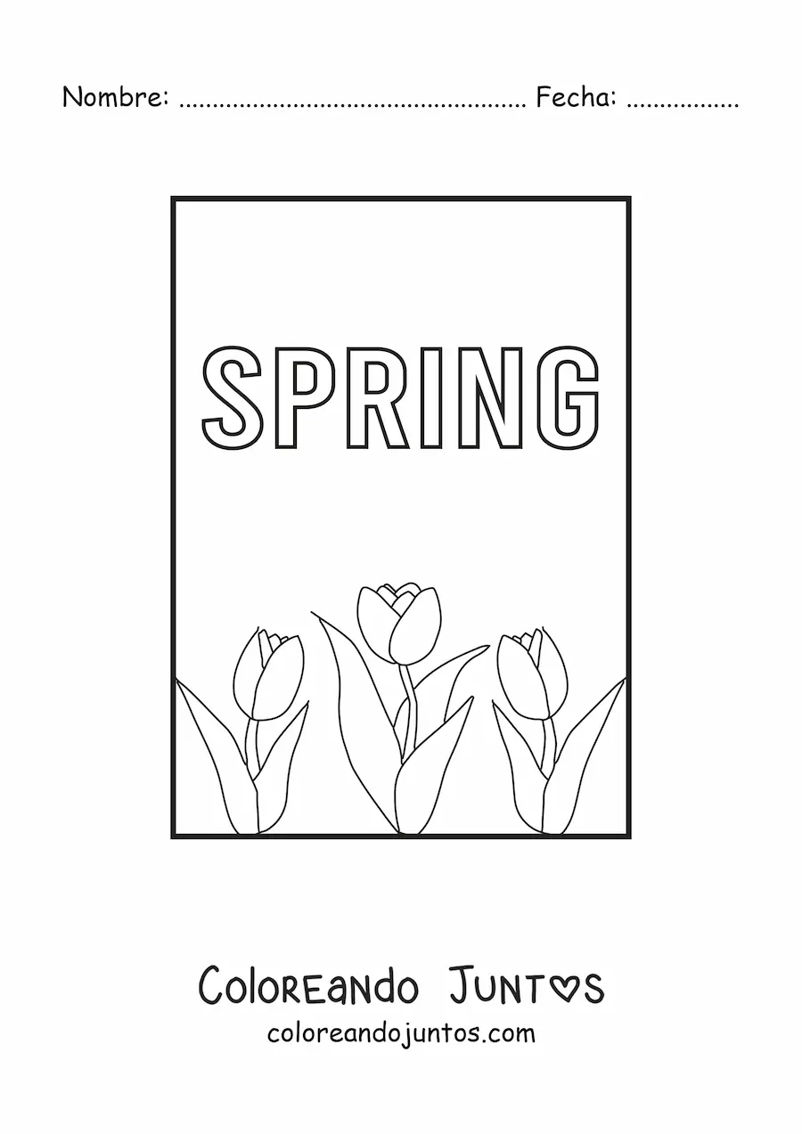 Imagen para colorear de varios tulipanes y la palabra spring