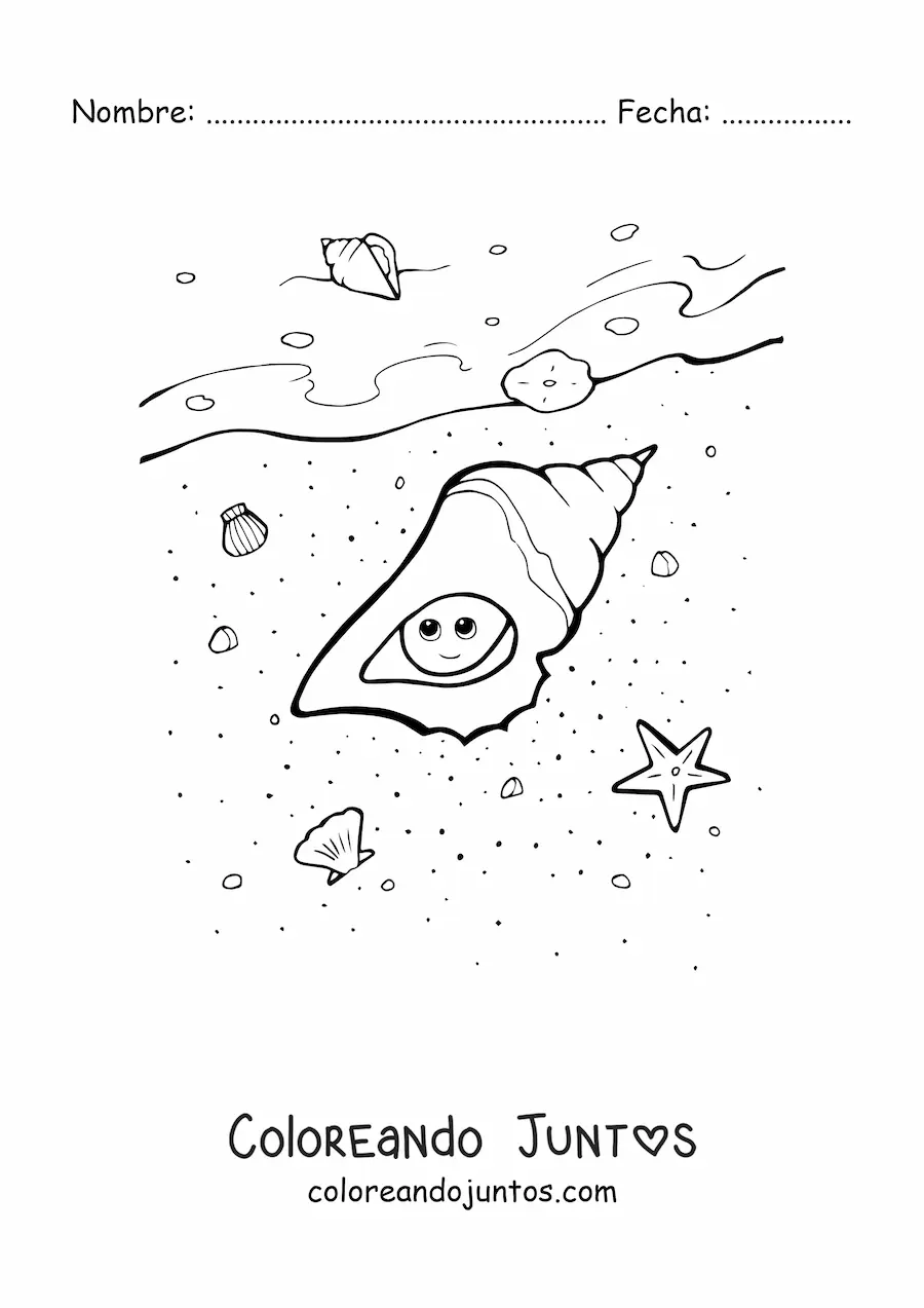 Imagen para colorear de una caracola kawaii en la playa