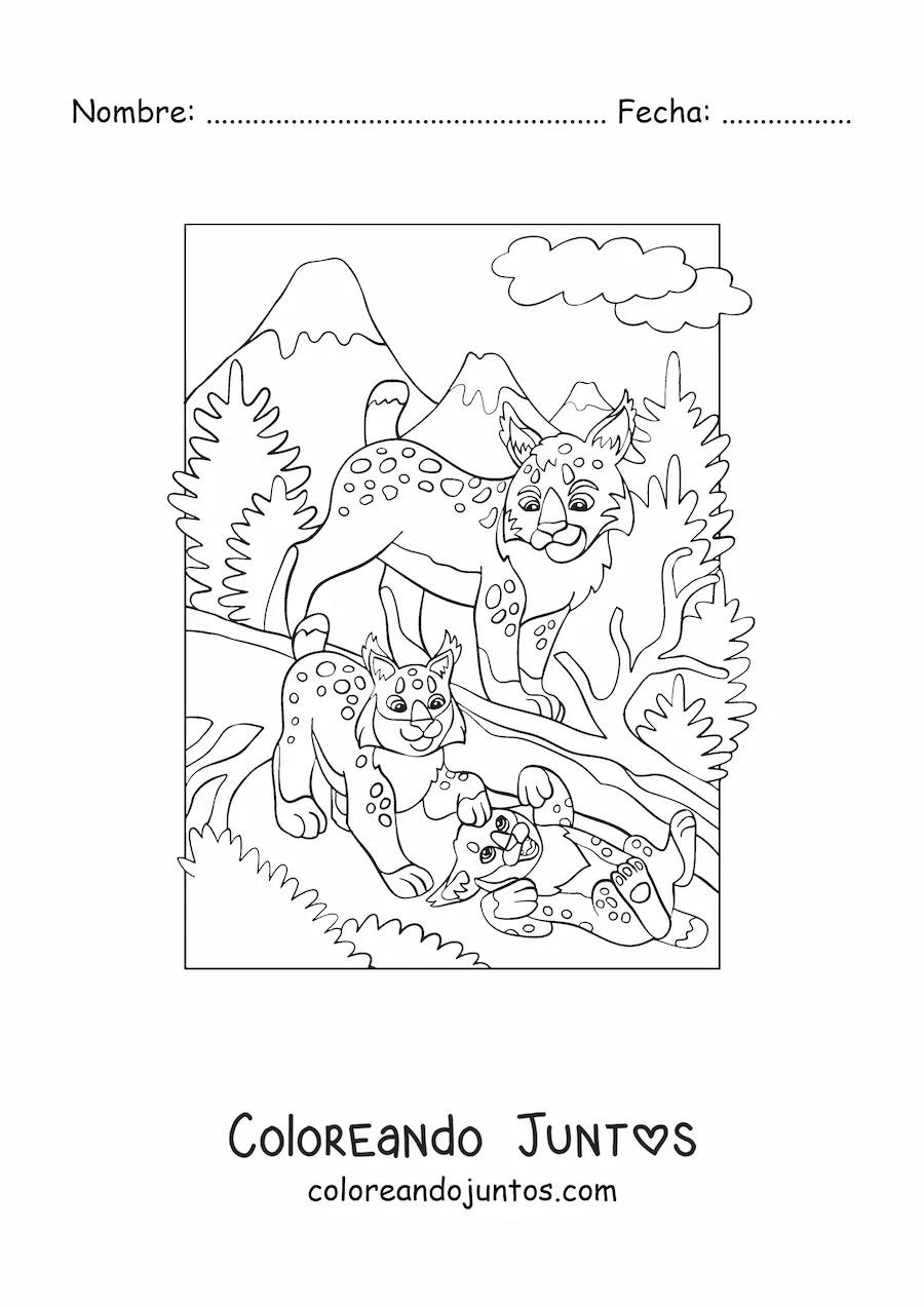 Imagen para colorear de una manada de linces en el bosque