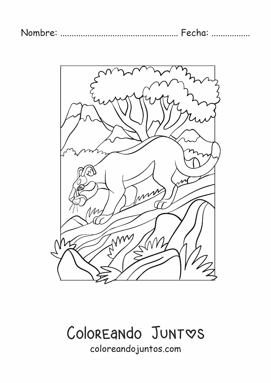 Imagen para colorear de un puma sobre un tronco en el bosque