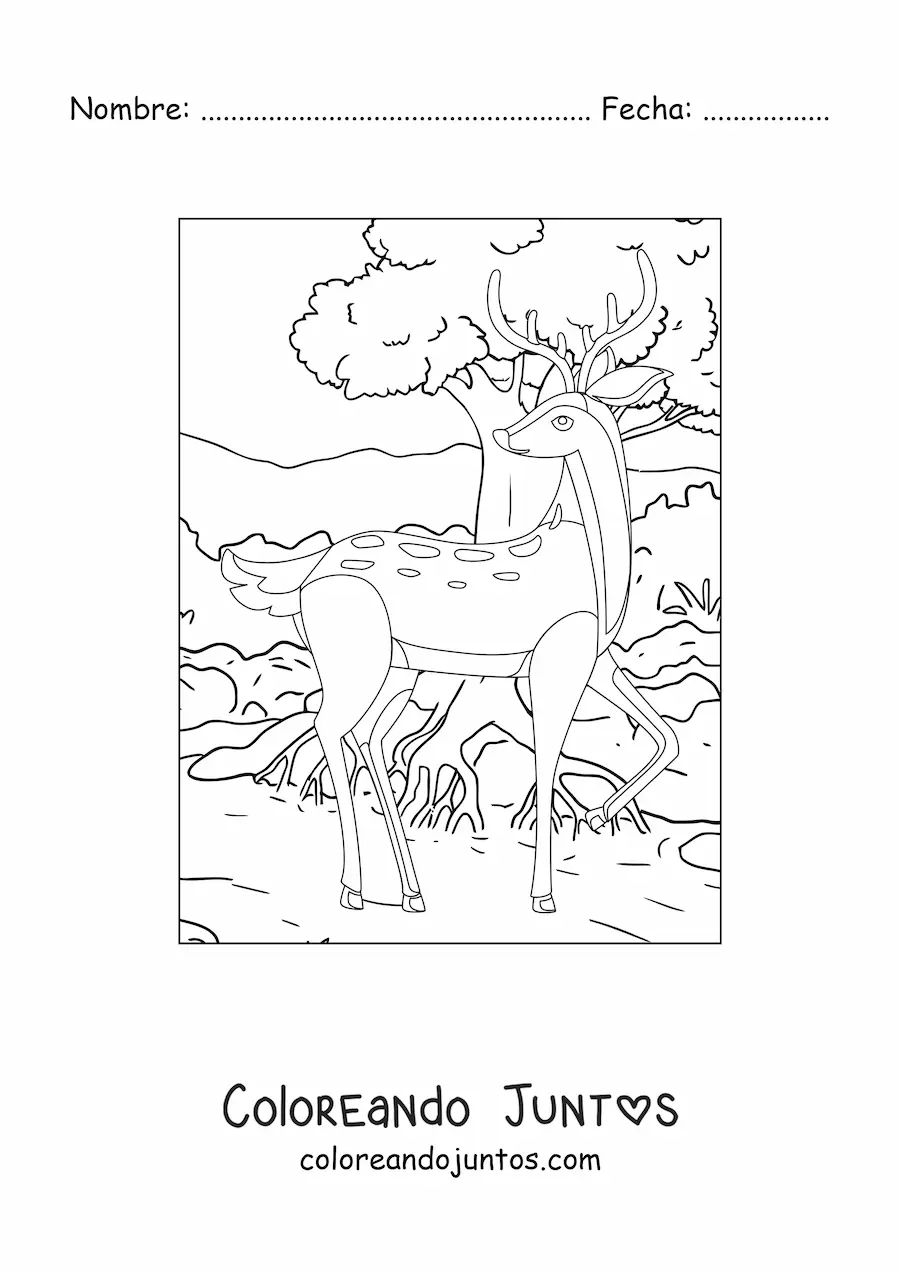 Imagen para colorear de un ciervo en el bosque