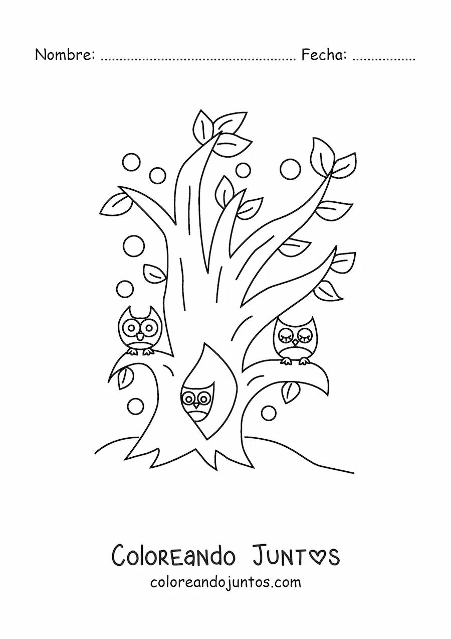 Imagen para colorear de varios búhos dentro de un árbol en el bosque