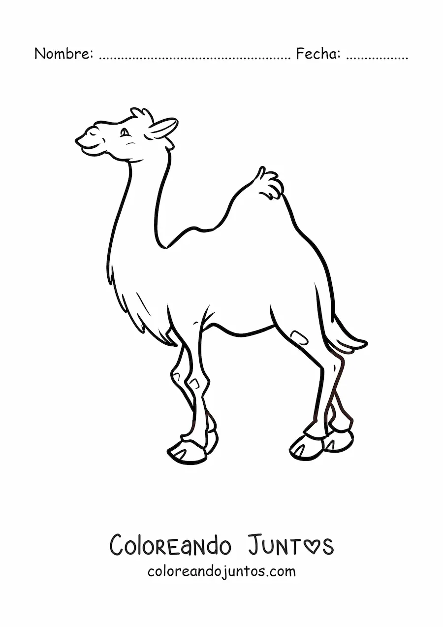 Imagen para colorear de un dromedario