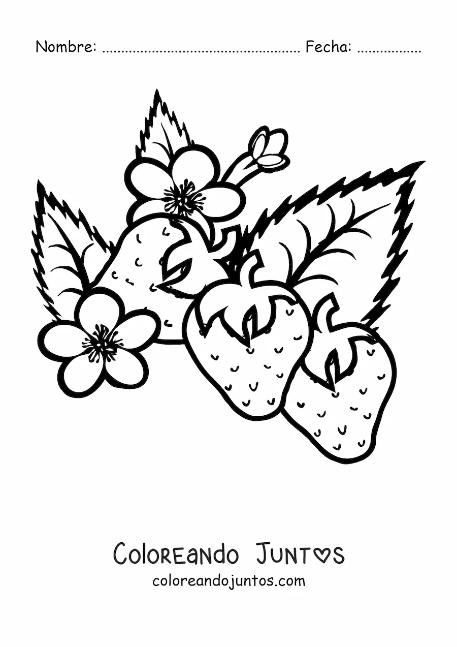Imagen para colorear de tres fresas y sus flores