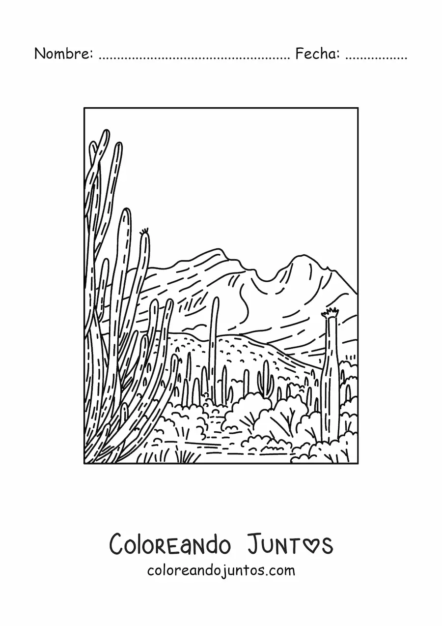 Imagen para colorear de un paisaje desértico