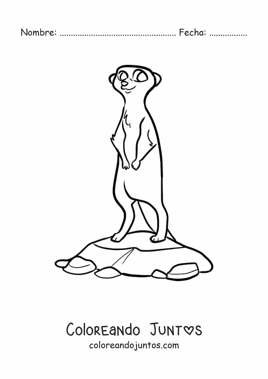 Imagen para colorear de una suricata del desierto
