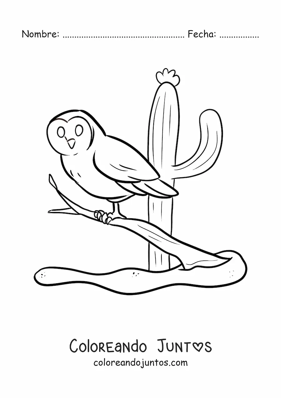 Imagen para colorear de una lechuza del desierto