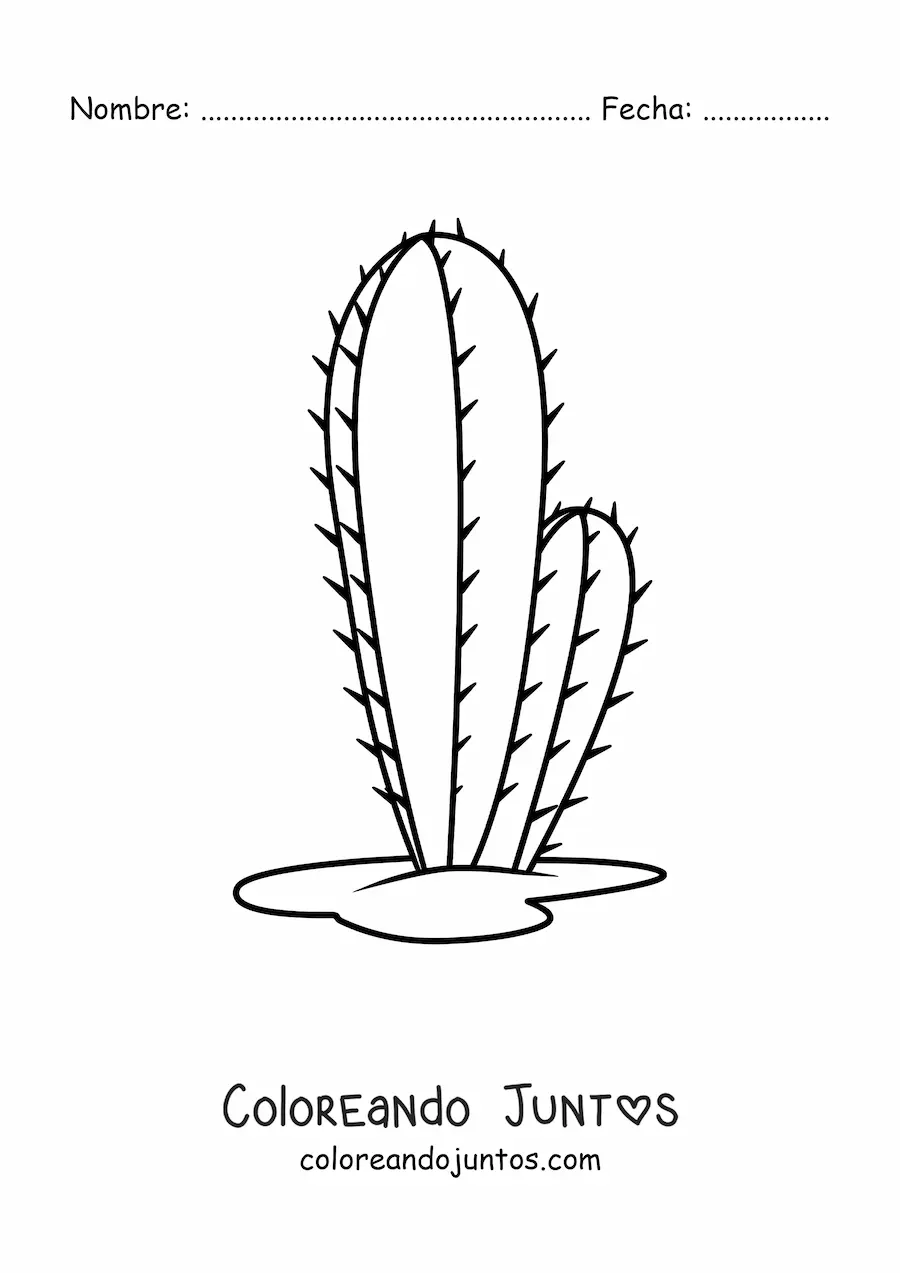 Imagen para colorear de un cactus sencillo
