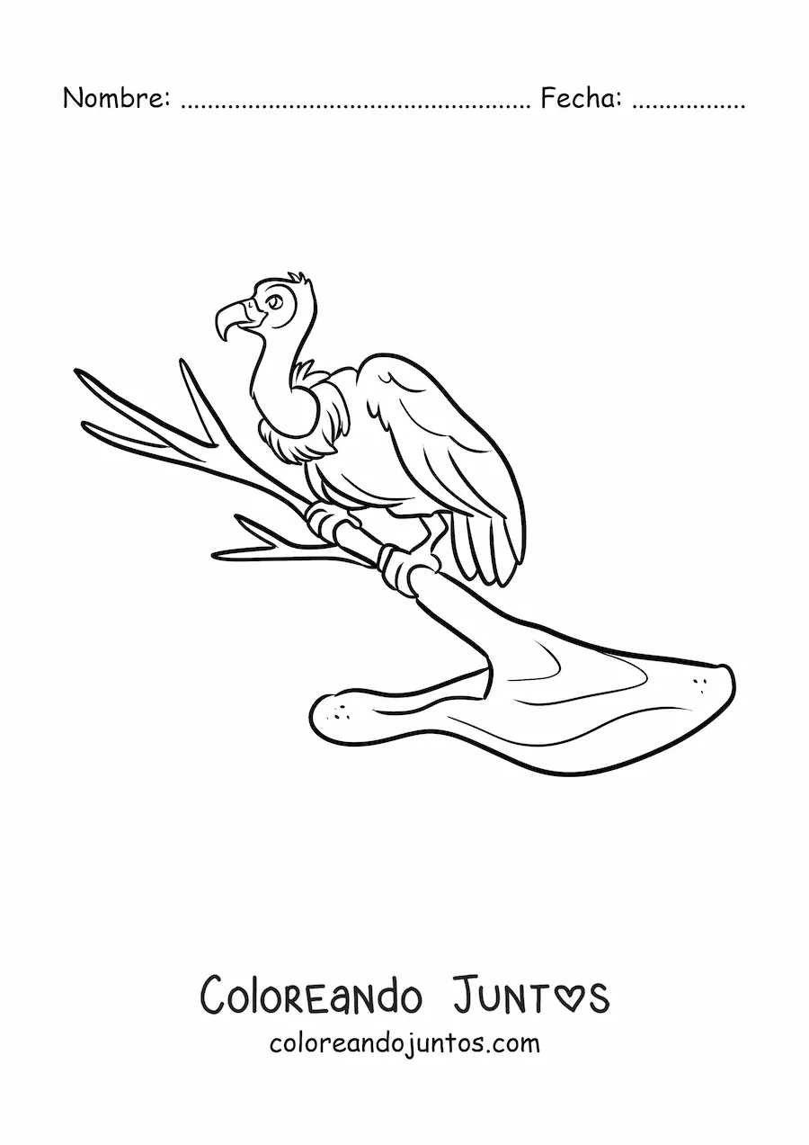 Imagen para colorear de un buitre del desierto