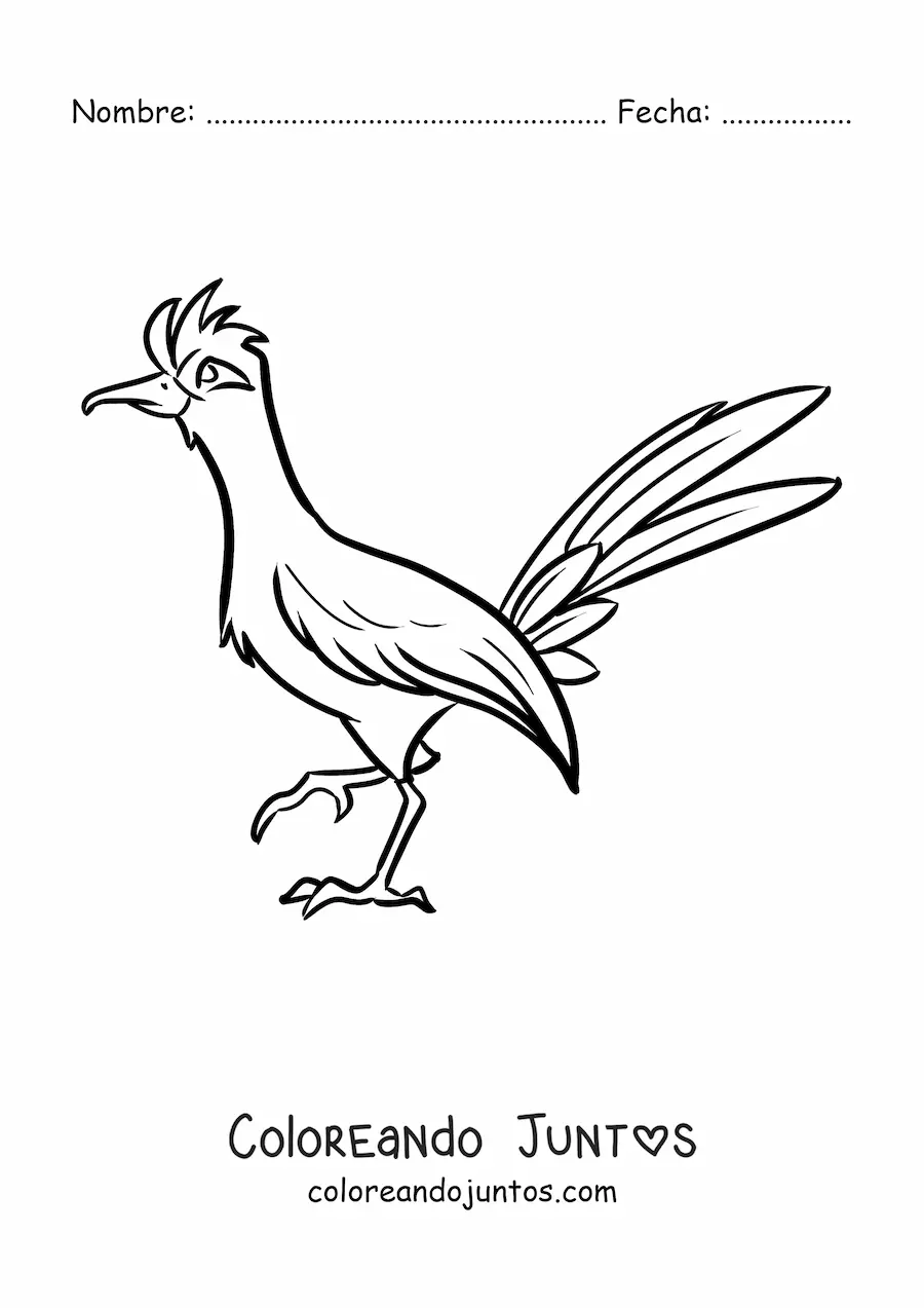 Imagen para colorear de un ave correcaminos
