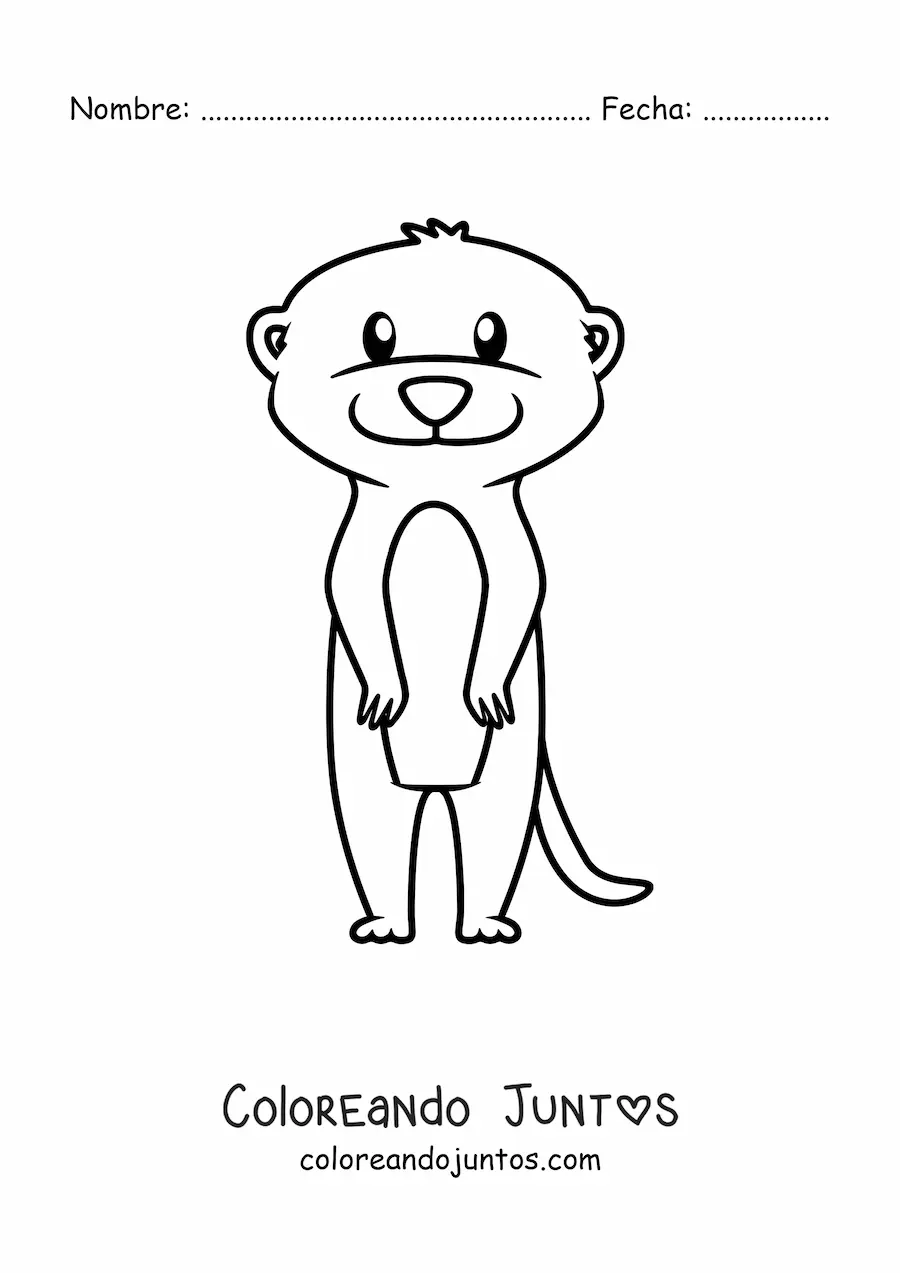Imagen para colorear de una suricata del desierto animada