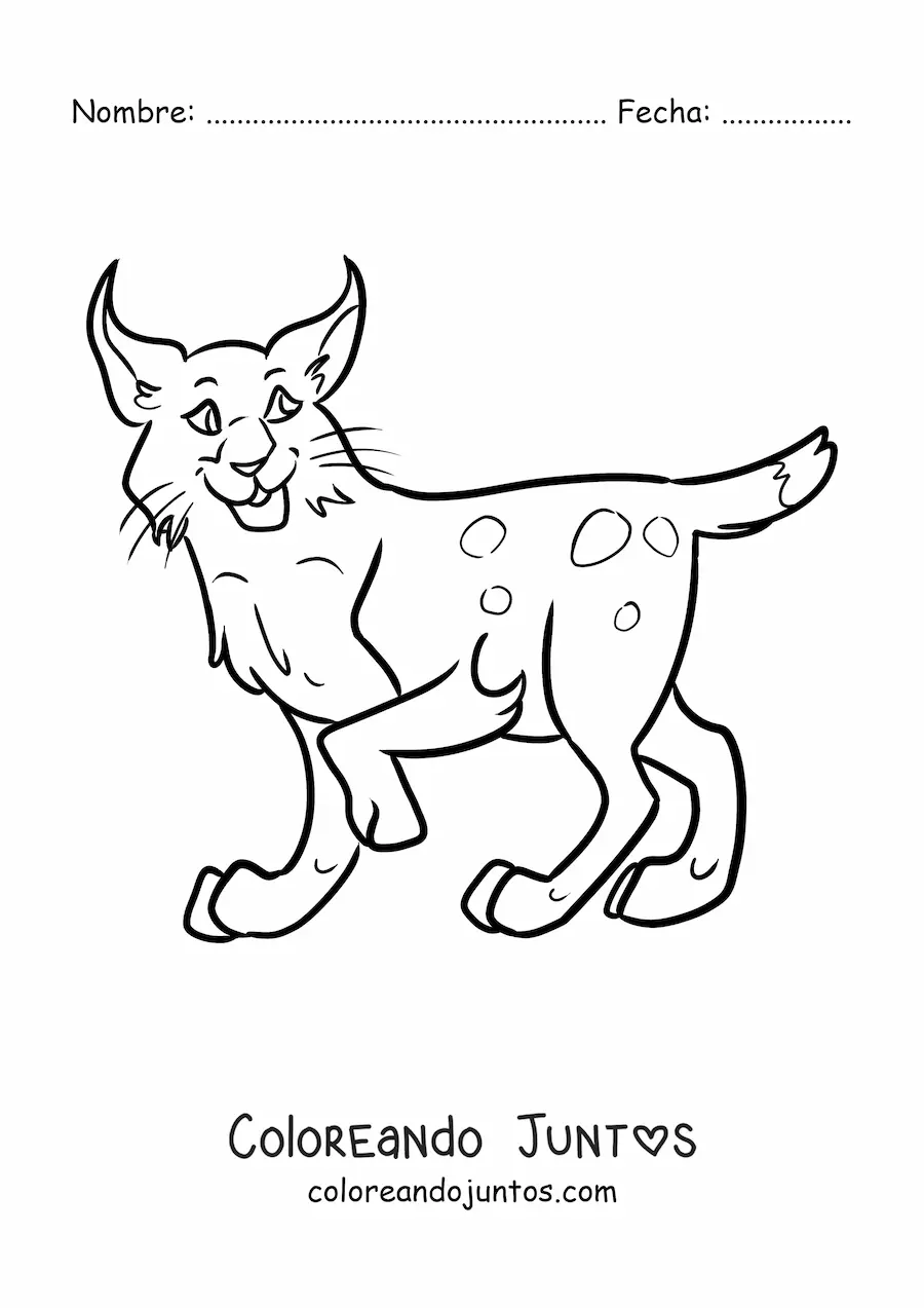 Imagen para colorear de un lince del desierto