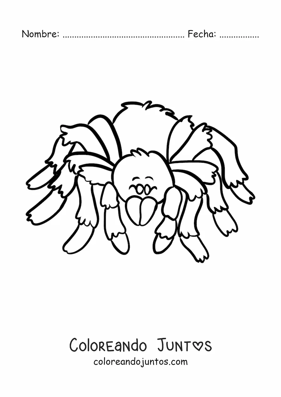 Imagen para colorear de una araña del desierto