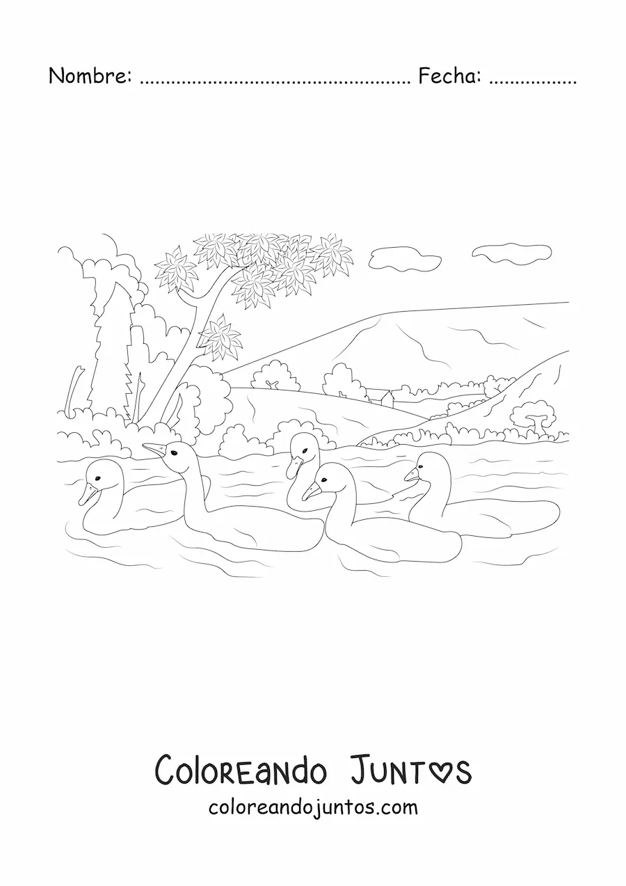 Imagen para colorear de un lago con cisnes