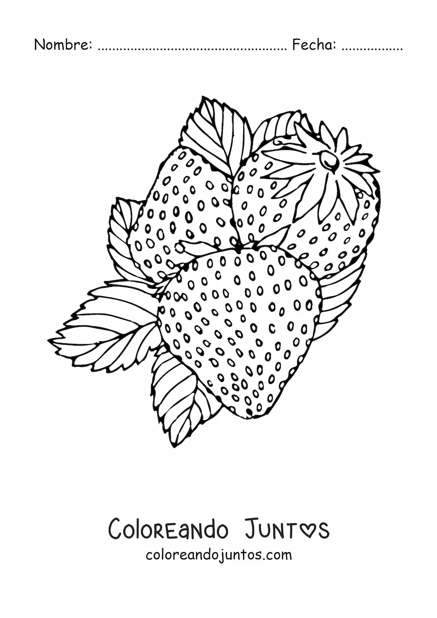 Imagen para colorear de tres fresas salvajes con hojas