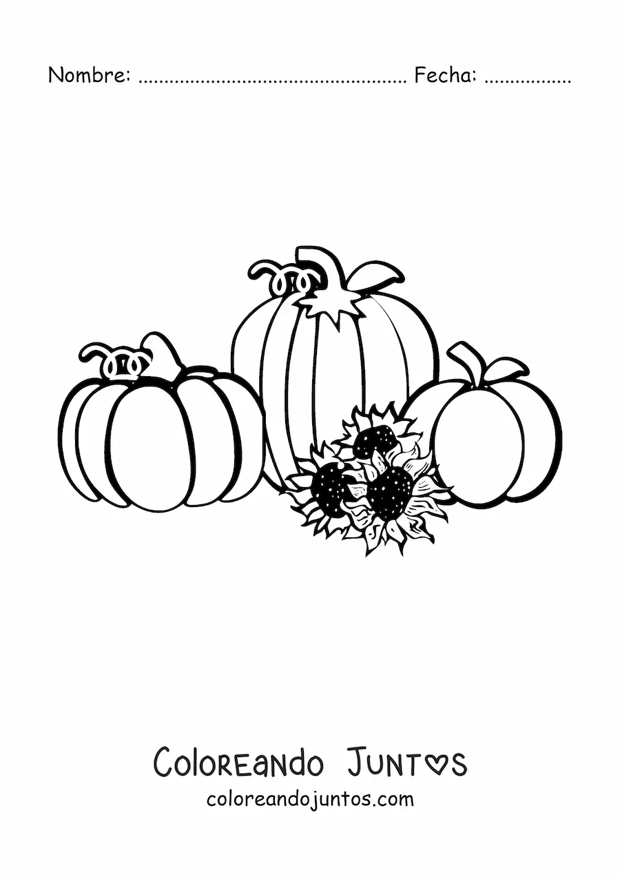 Imagen para colorear de tres calabazas junto a tres girasoles