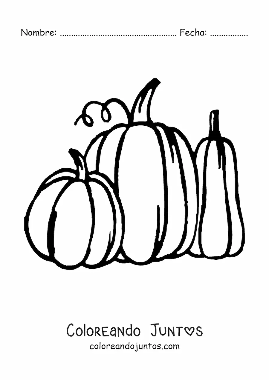 Imagen para colorear de tres calabazas