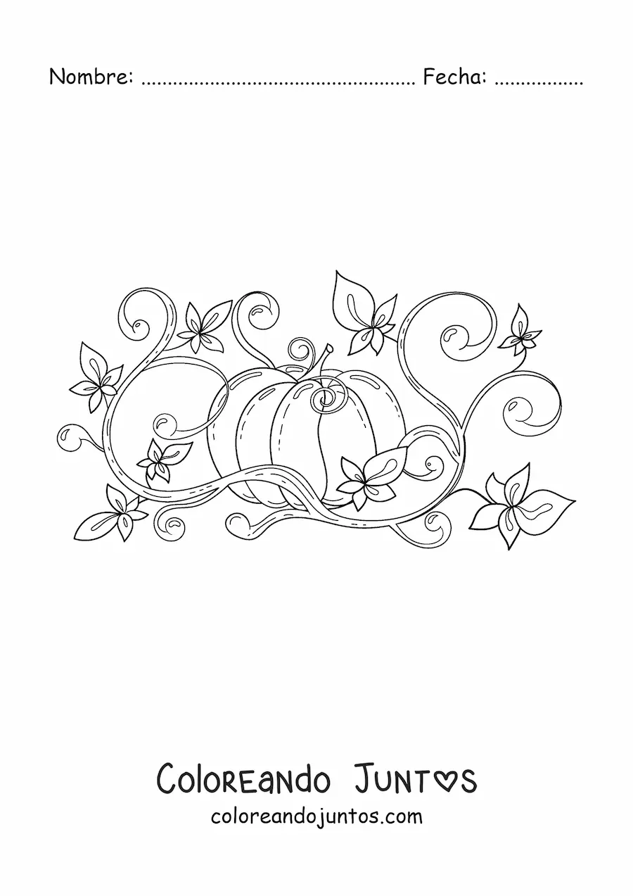 Imagen para colorear de un cultivo de calabaza