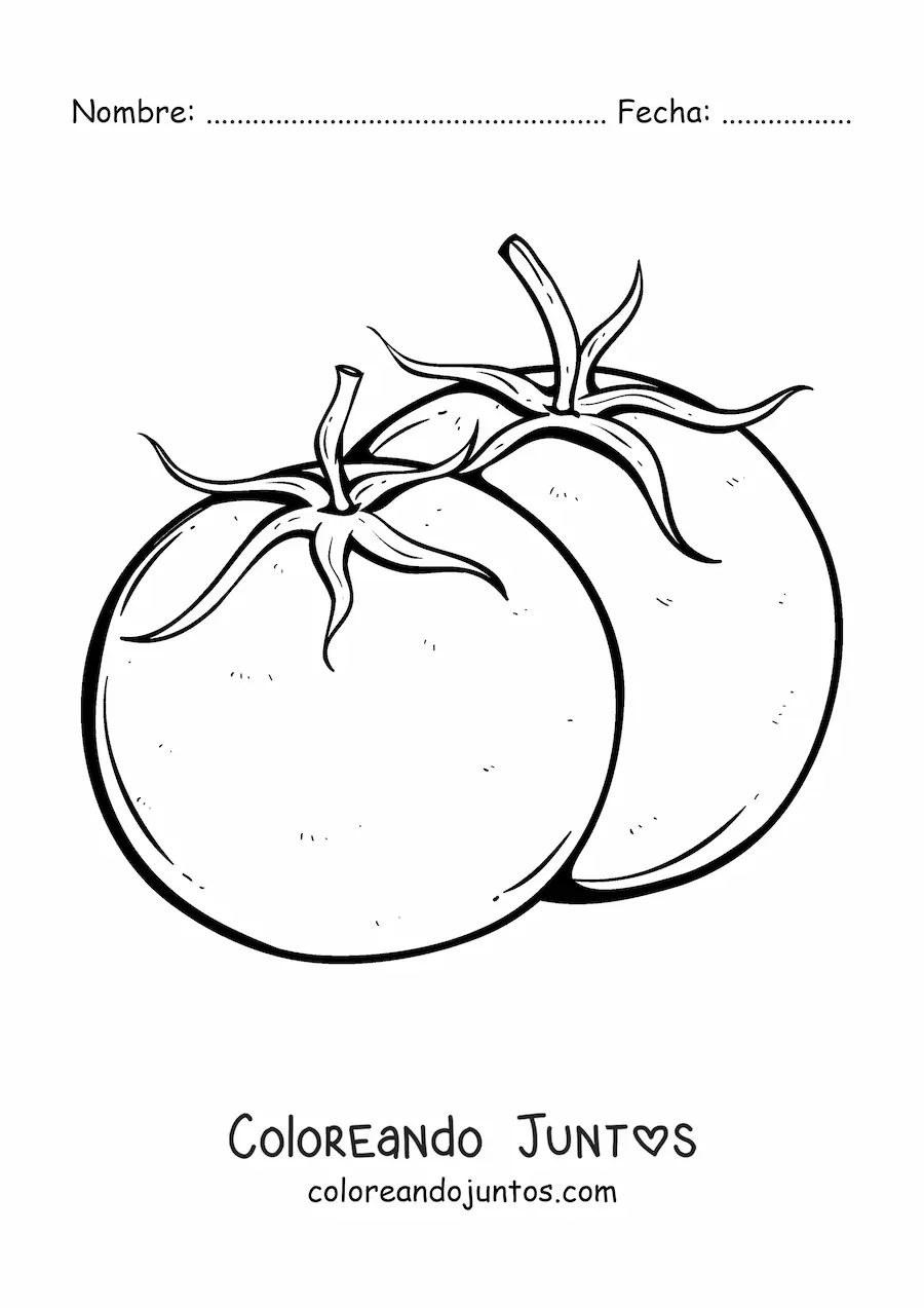 Imagen para colorear de dos tomates con hojas