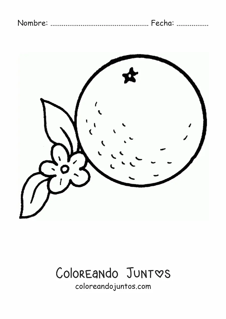 Imagen para colorear de una naranja junto a su flor