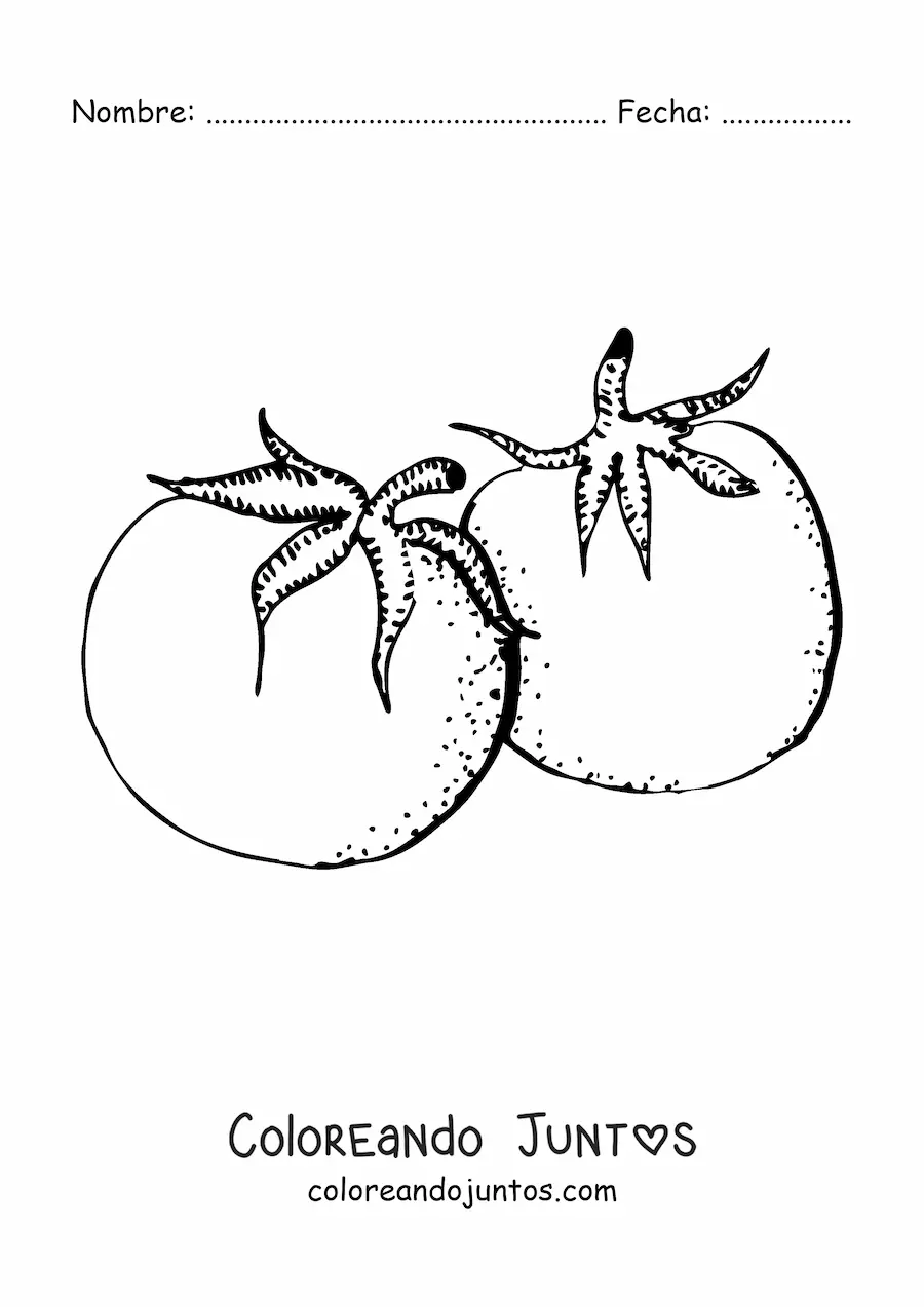 Imagen para colorear de dos tomates realistas