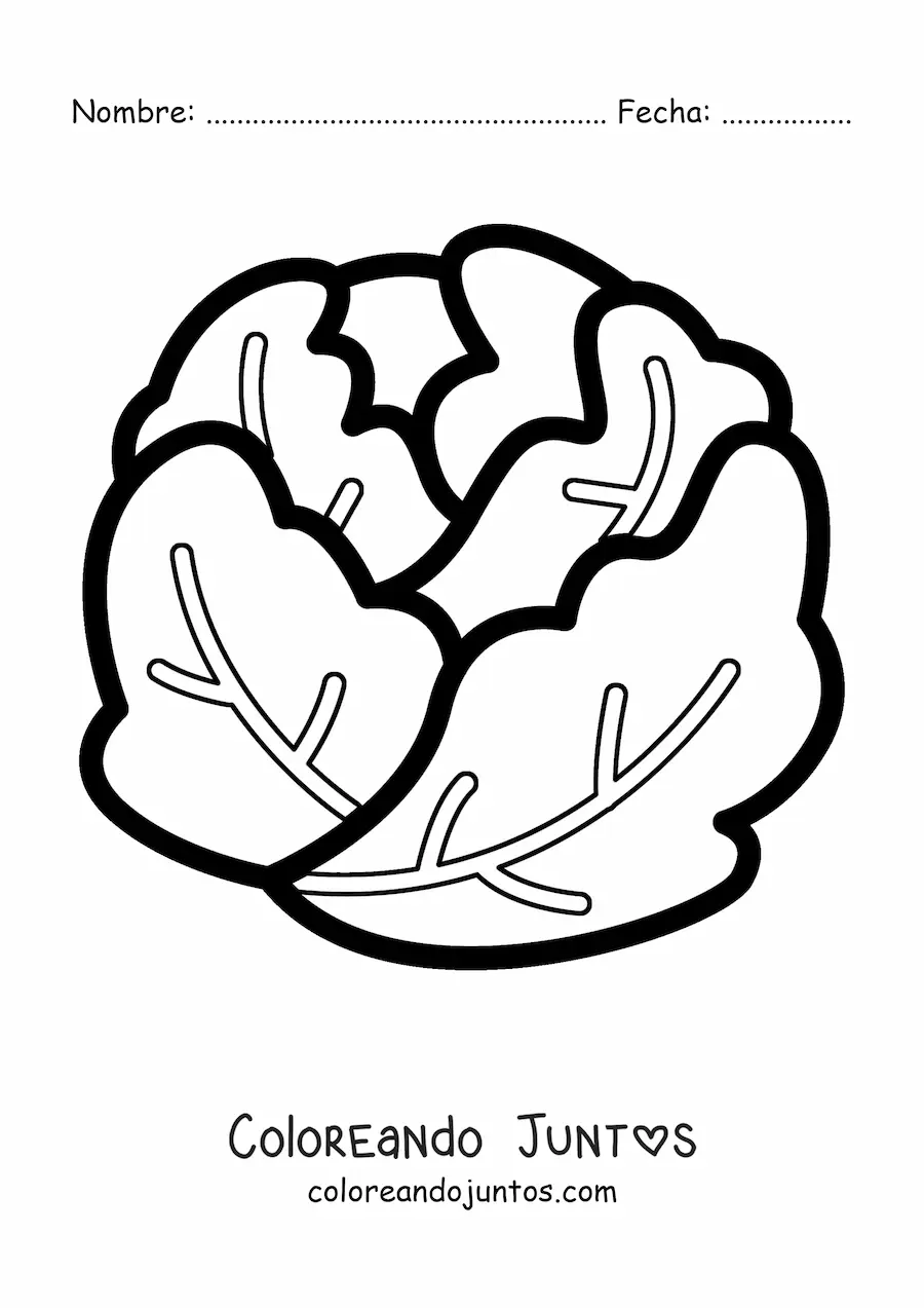 Imagen para colorear de una lechuga arrepollada sencilla