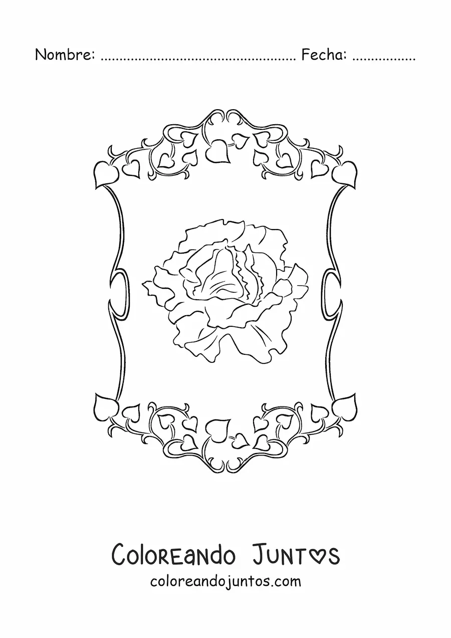 Imagen para colorear de una lechuga realista