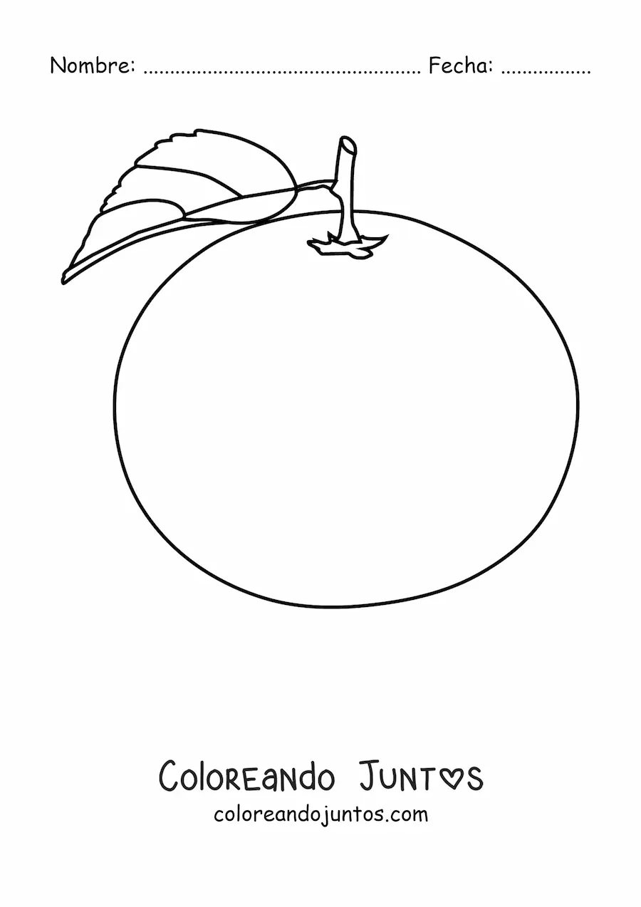 Imagen para colorear de una naranja con hoja y tallo