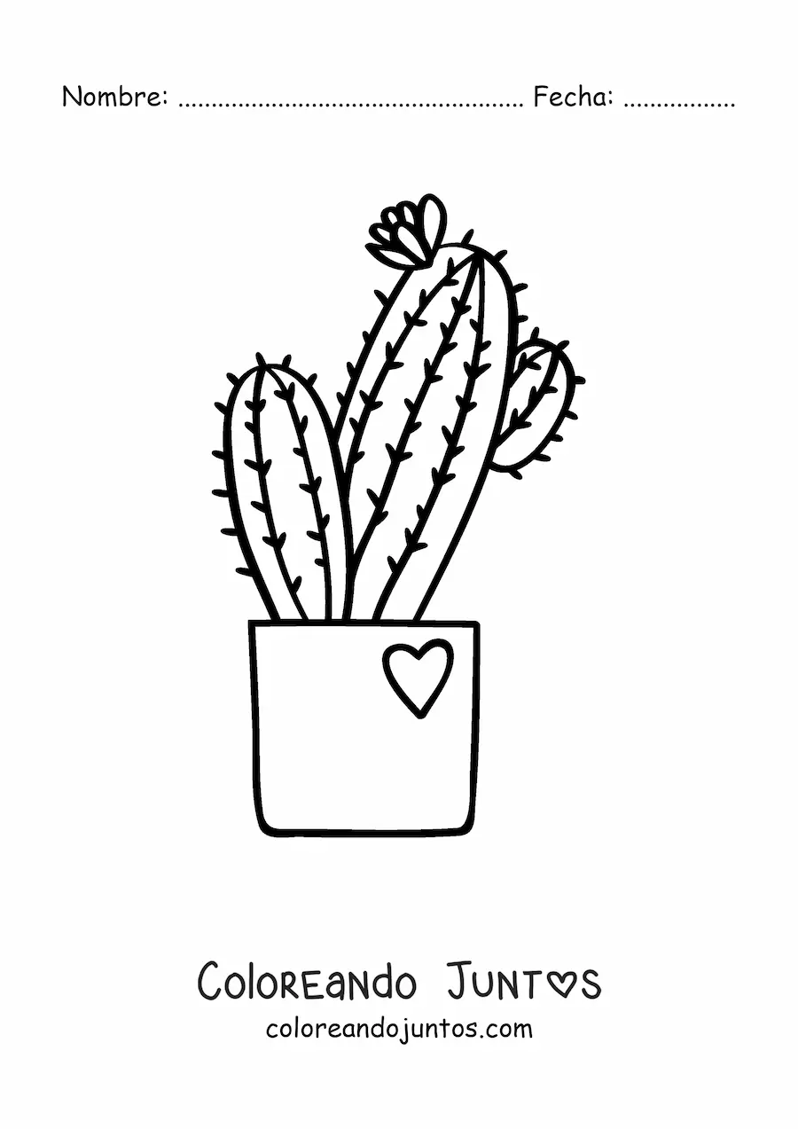 Imagen para colorear de un cactus con una flor en una maceta con un corazón