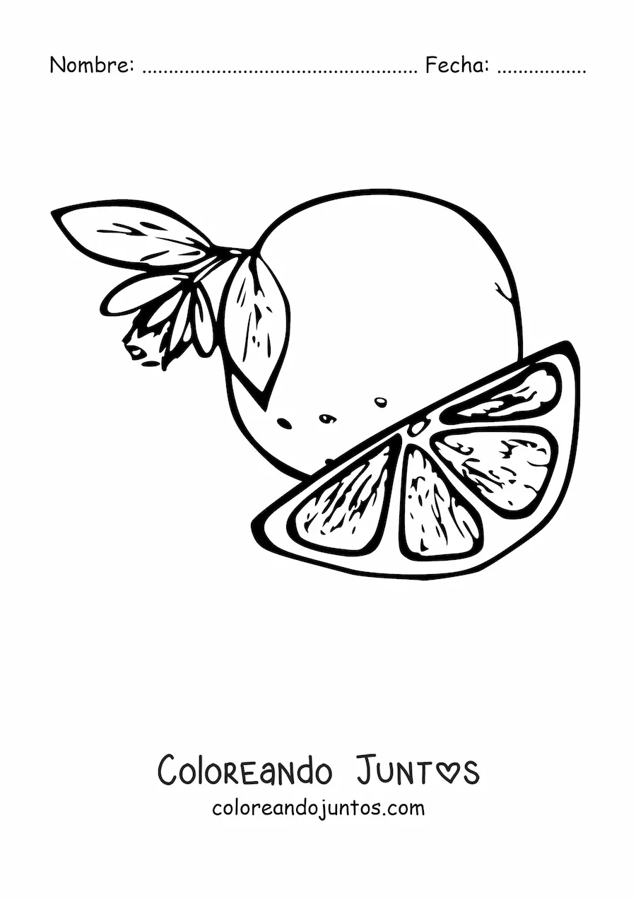 Imagen para colorear de un trozo de naranja  junto a una naranja con flor