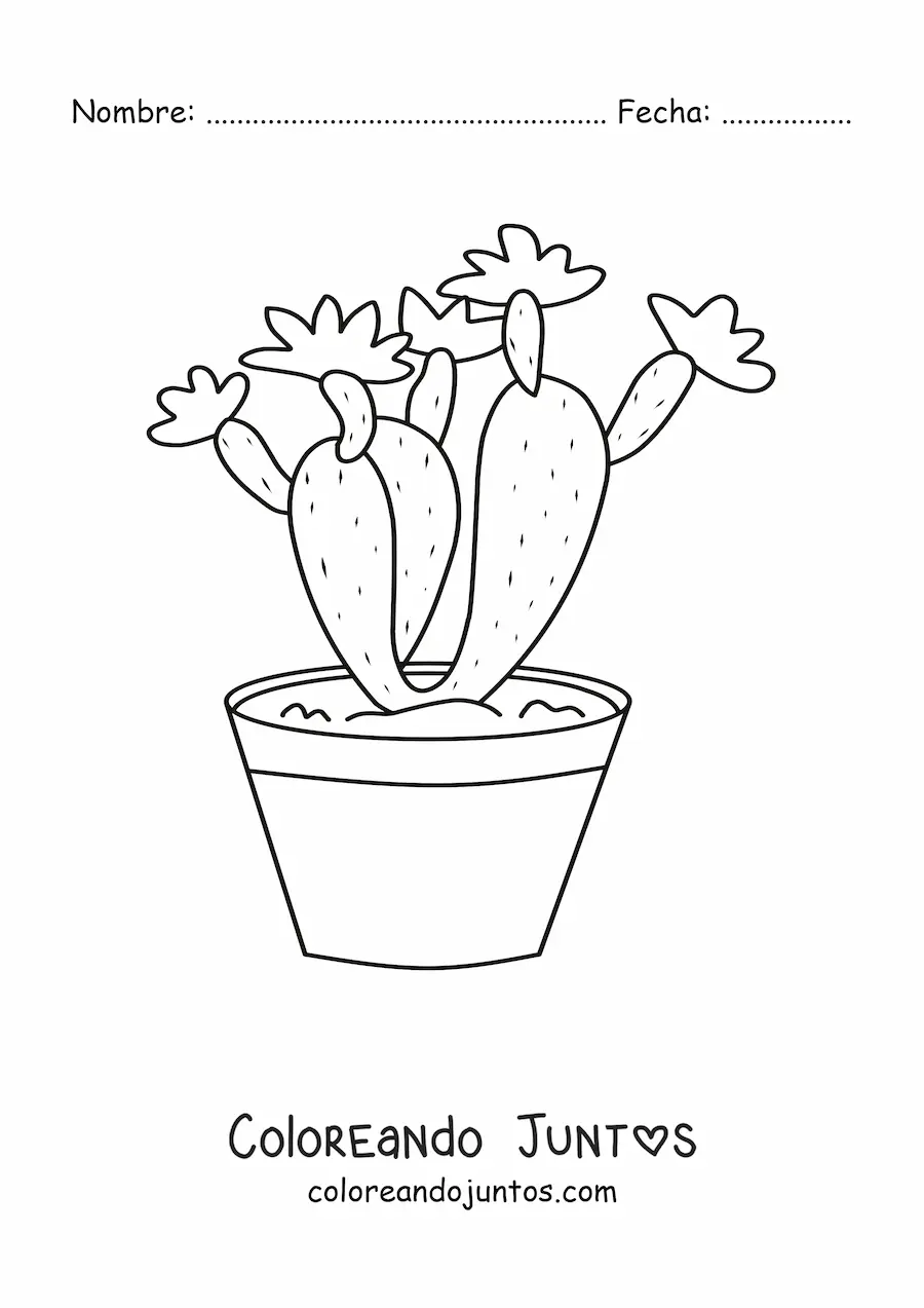 Imagen para colorear de un cactus sembrado en una maceta