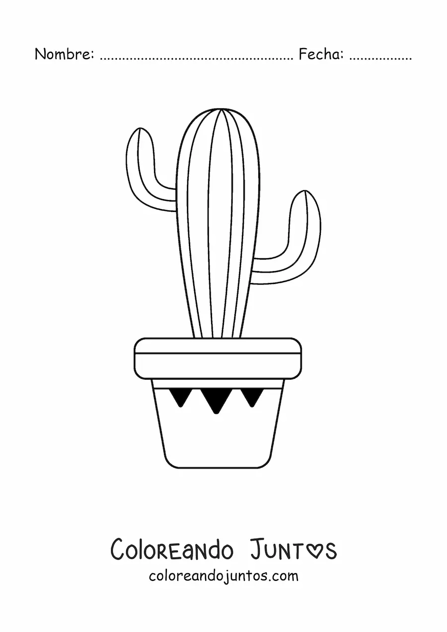 Imagen para colorear de un cactus con líneas en maceta