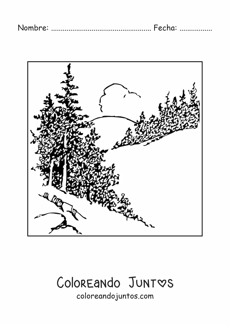 Imagen para colorear de un paisaje con pinos realistas