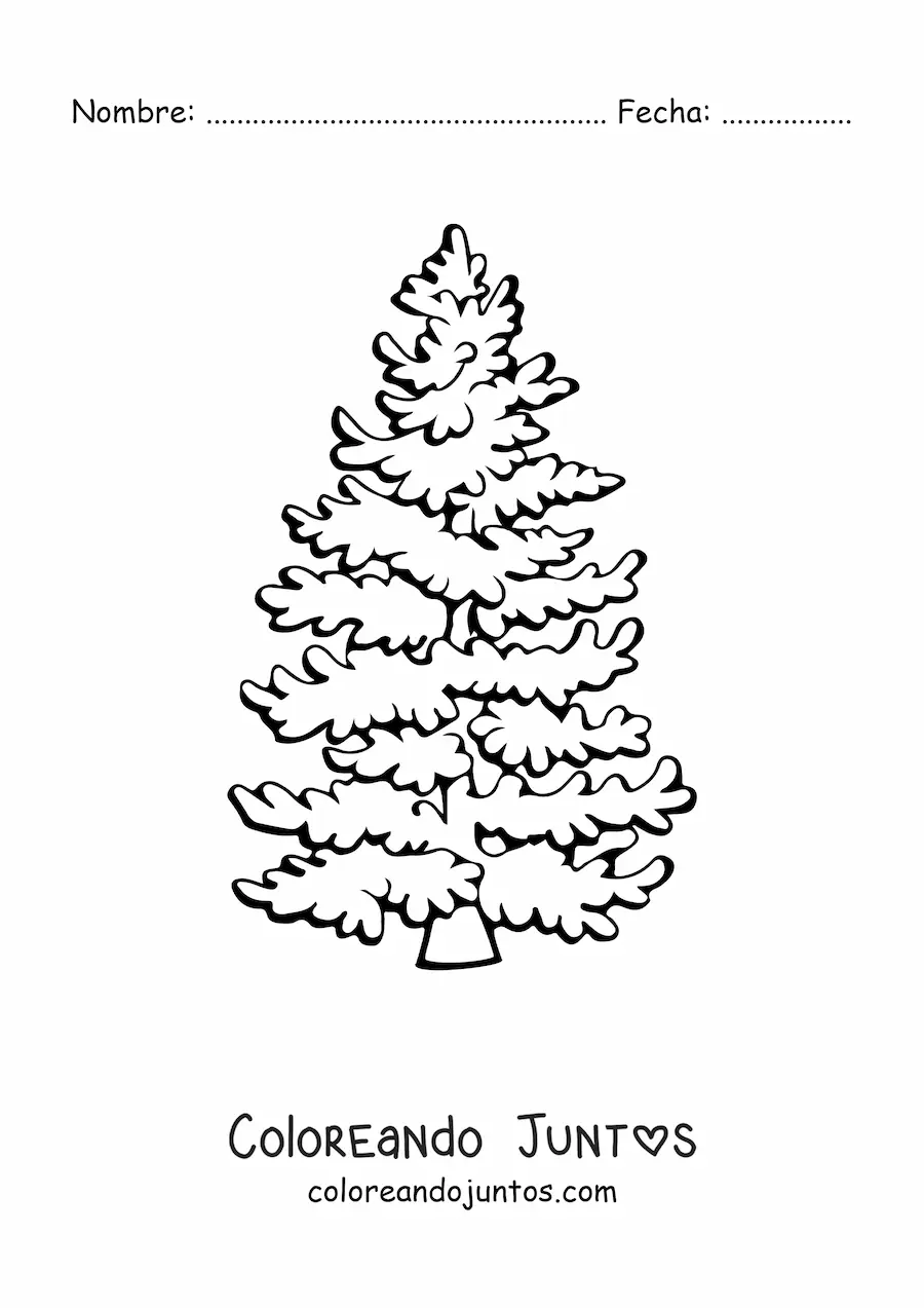 Imagen para colorear de un pino frondoso