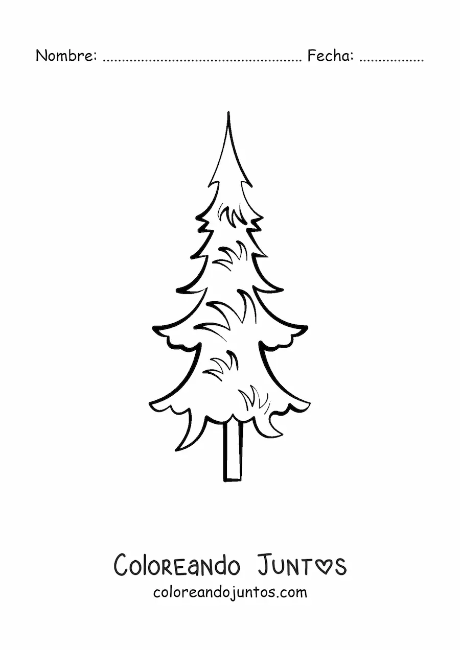 Imagen para colorear de un pino sencillo